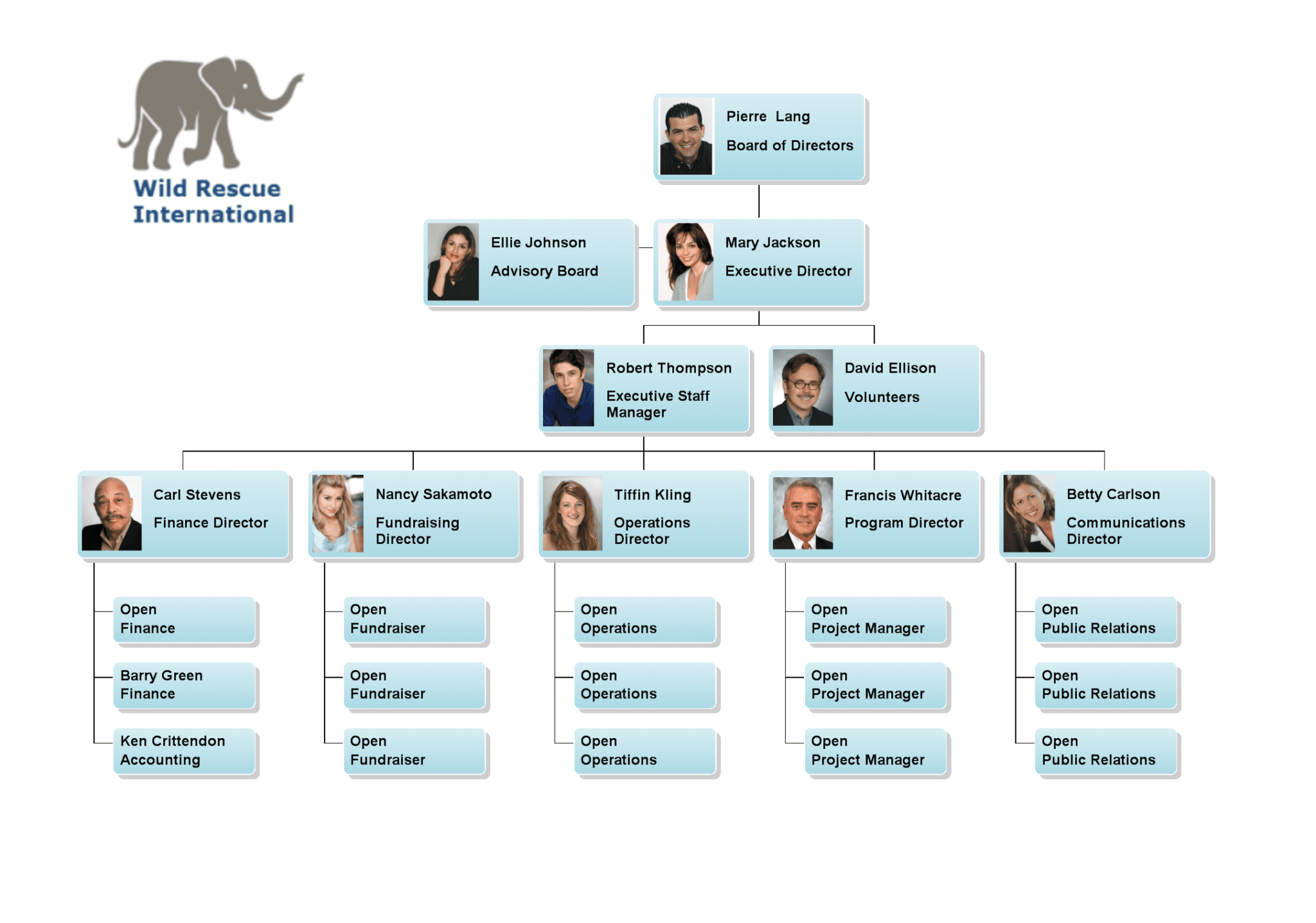 Charting a Non-Profit Organization