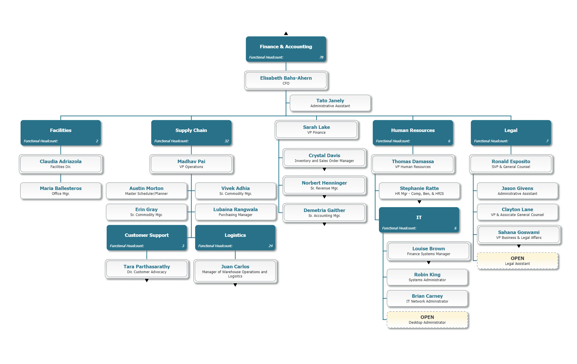 Functional org chart