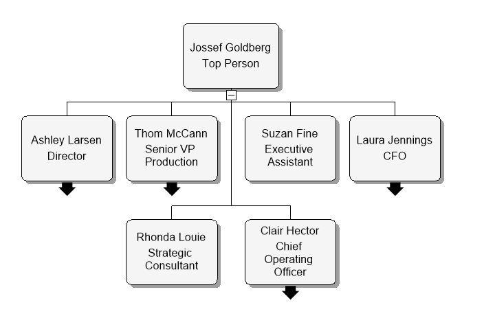 Levels of Management