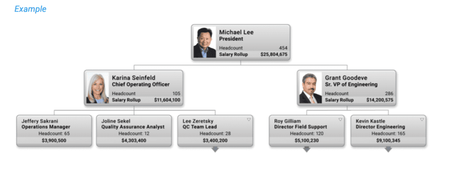 Salary and Headcount Rollup